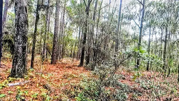 2871 W Sunkist Lane, DUNNELLON, FL 34433