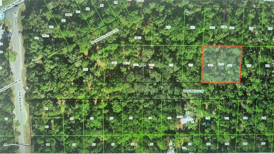 2871 W Sunkist Lane, Dunnellon, FL 34433 - #3