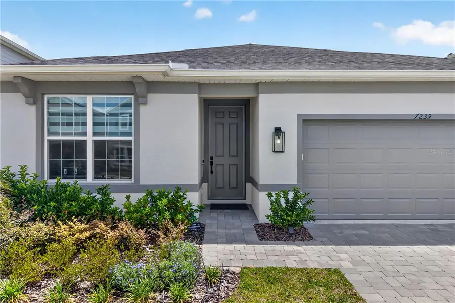 7239 Ivy Tendril Avenue, Orlando, FL 32829 - #3