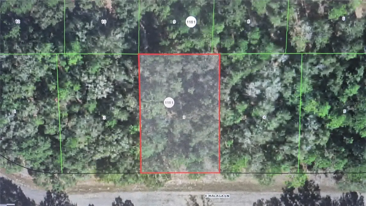 593 E Malaga Lane, Dunnellon, FL 34434 - #1