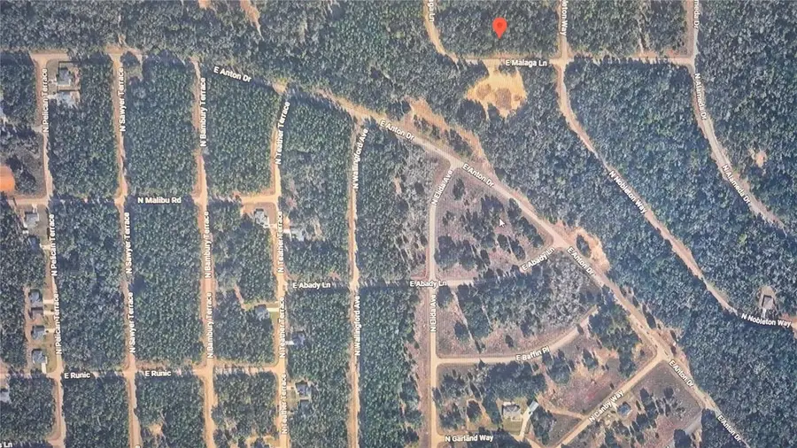 593 E Malaga Lane, Dunnellon, FL 34434 - #3