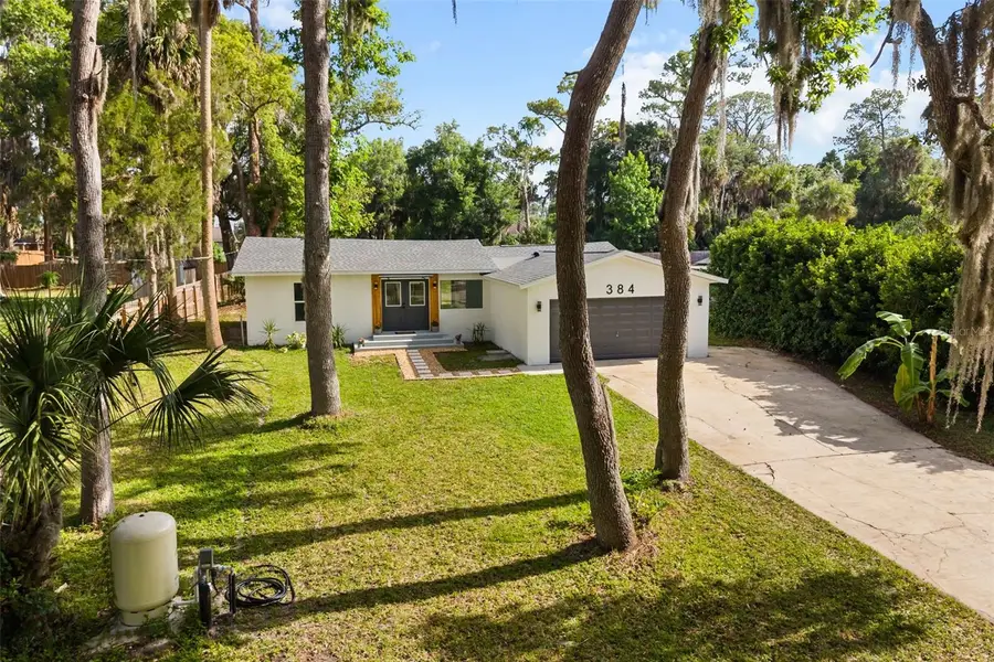 384 Magnolia Place, Debary, FL 32713 - #3