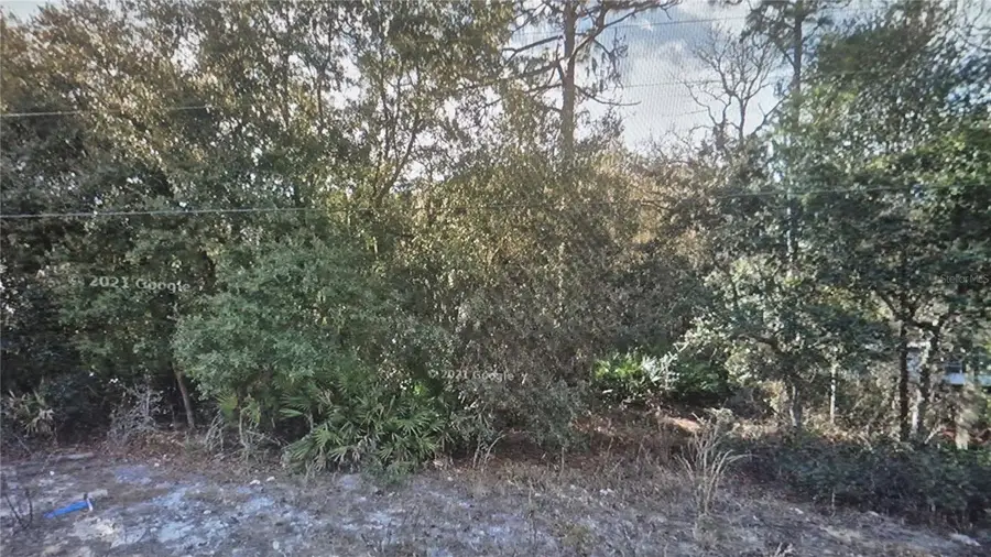 103 George Way, Interlachen, FL 32148 - #2