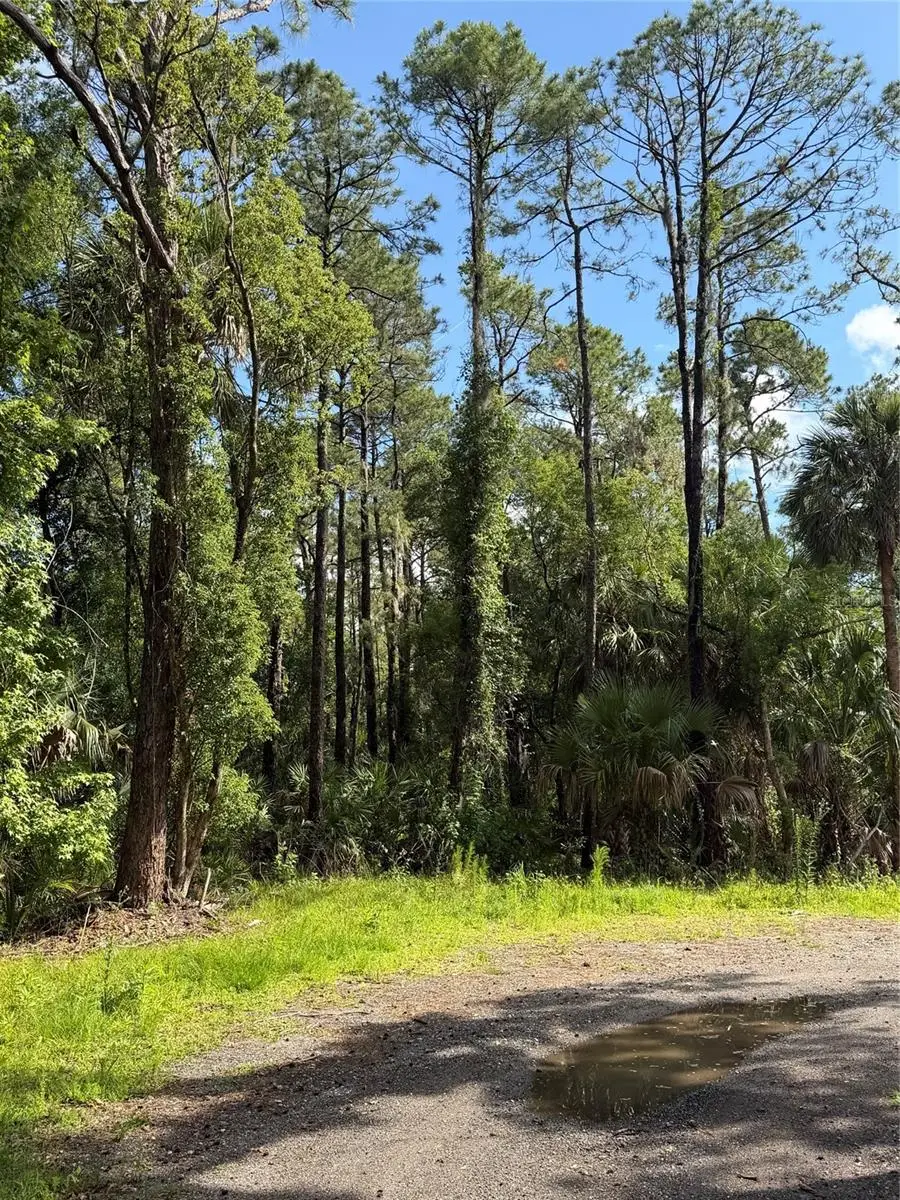 1340 Jayce Ct, Geneva, FL 32732 - #2