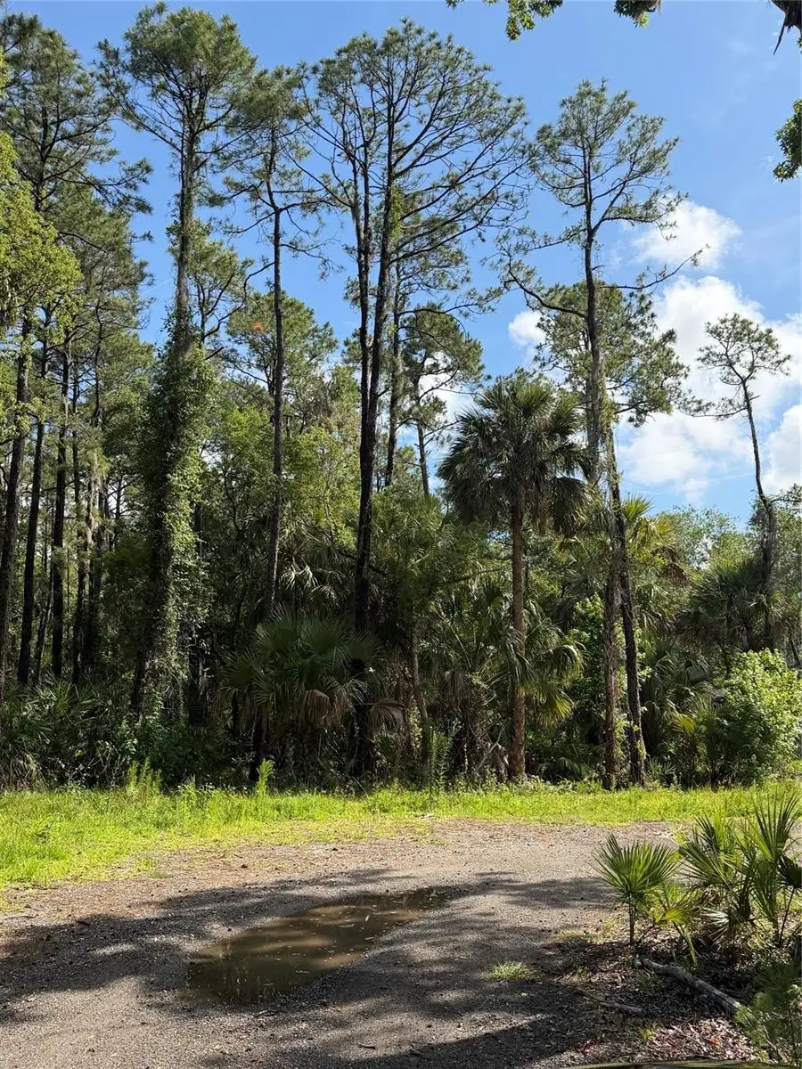 1340 Jayce Ct, Geneva, FL 32732 - #3