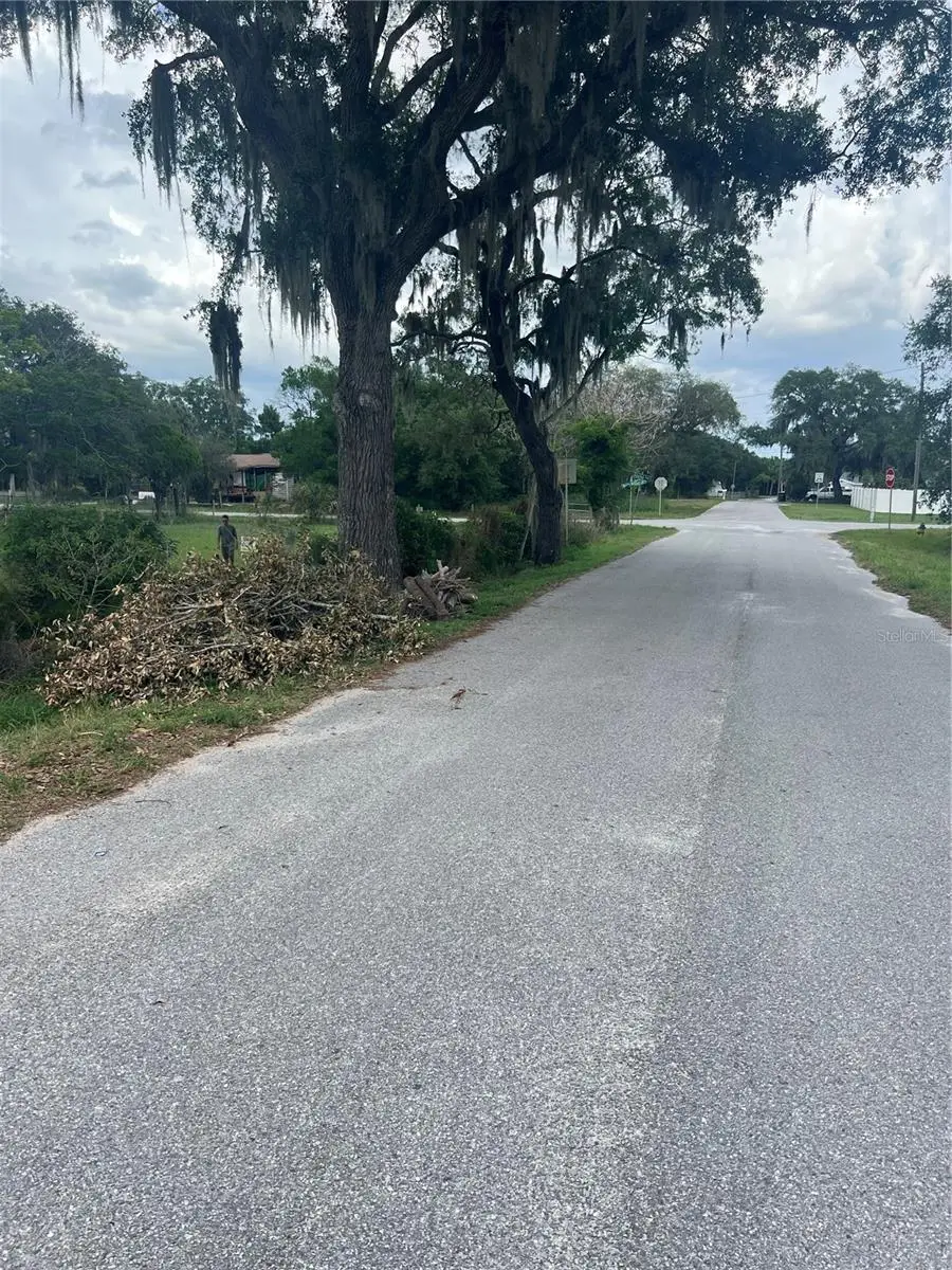 Shady Oak Avenue, Lake Wales, FL 33898 - #3