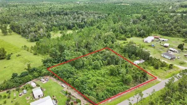 Old Panama, WEWAHITCHKA, FL 32465
