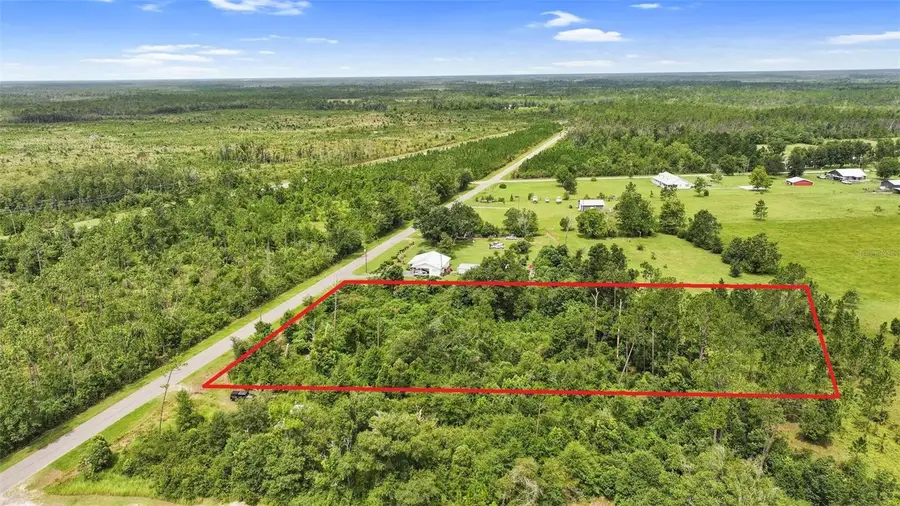 Old Panama, Wewahitchka, FL 32465 - #2