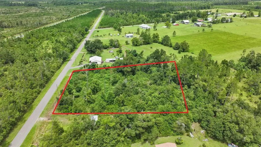 Old Panama, Wewahitchka, FL 32465 - #3