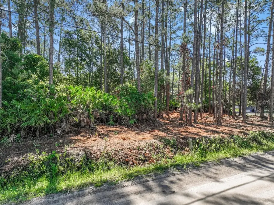 2679 Forest Park Street, Bunnell, FL 32110 - #3