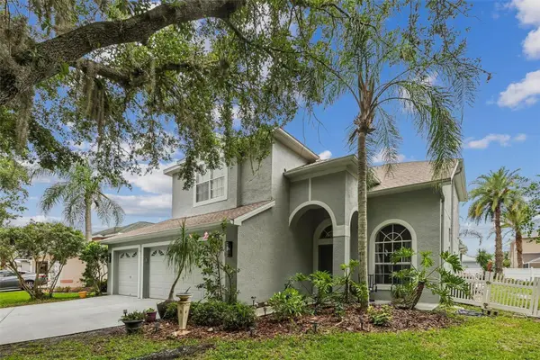 11612 Windsorton Way, TAMPA, FL 33626