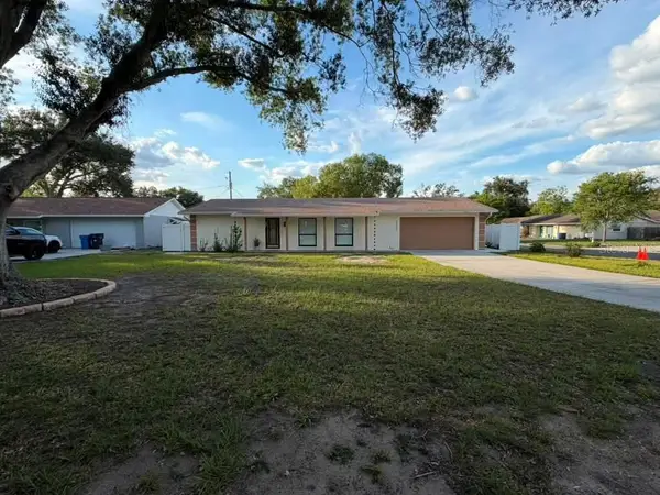 1210 Branda Vista Drive, BRANDON, FL 33510