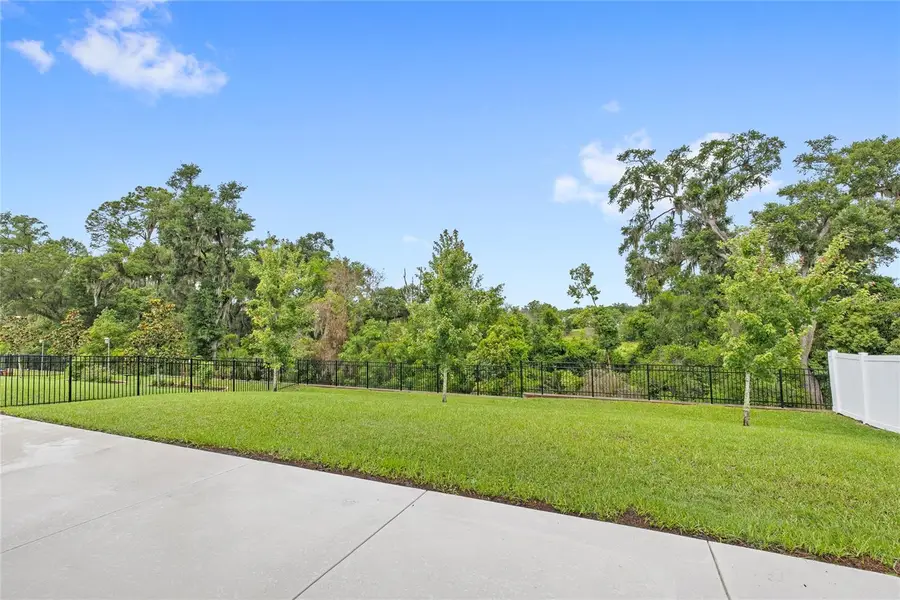 5352 Red Coral Circle, Mount Dora, FL 32757 - #3