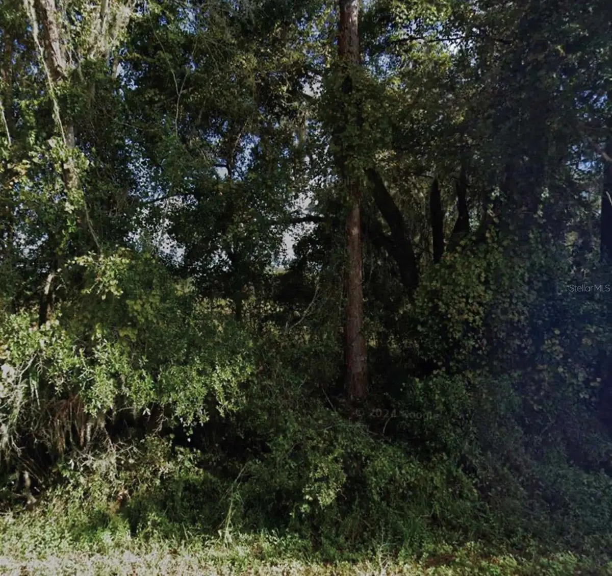 NE 234th Place Road, Fort McCoy Anthony, FL 32134 - #1