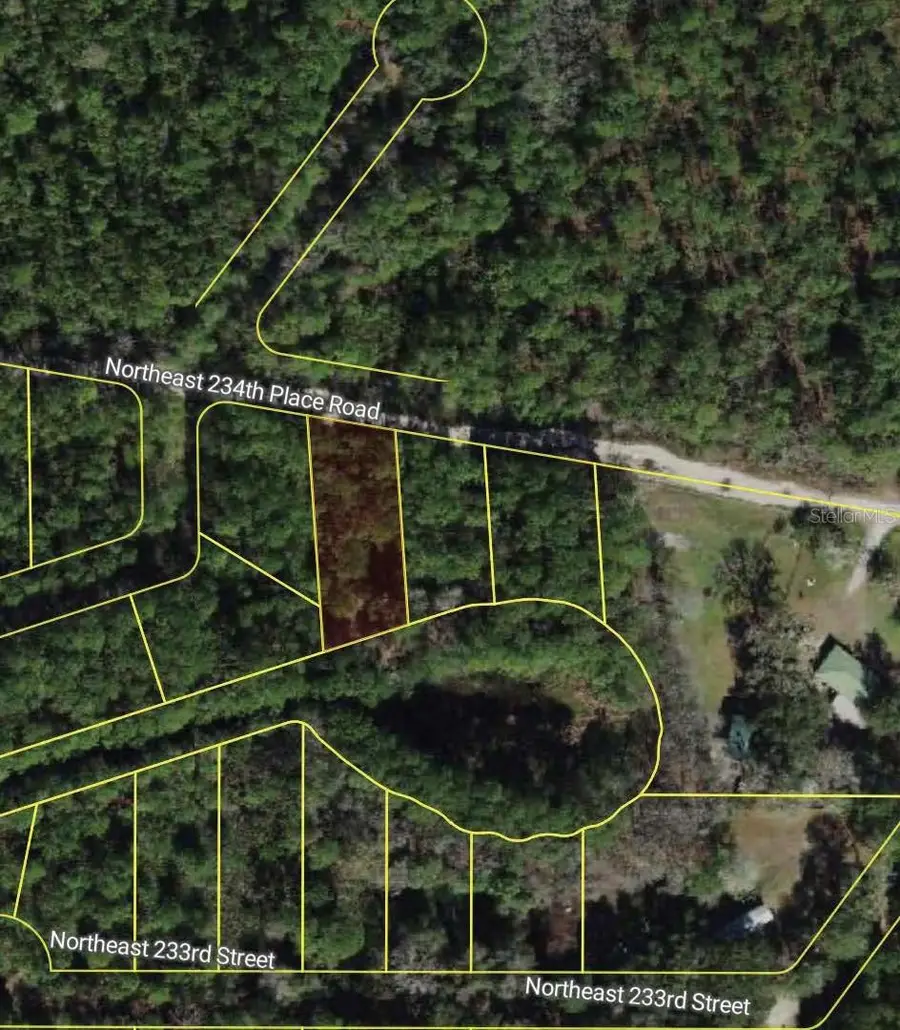NE 234th Place Road, Fort McCoy Anthony, FL 32134 - #2