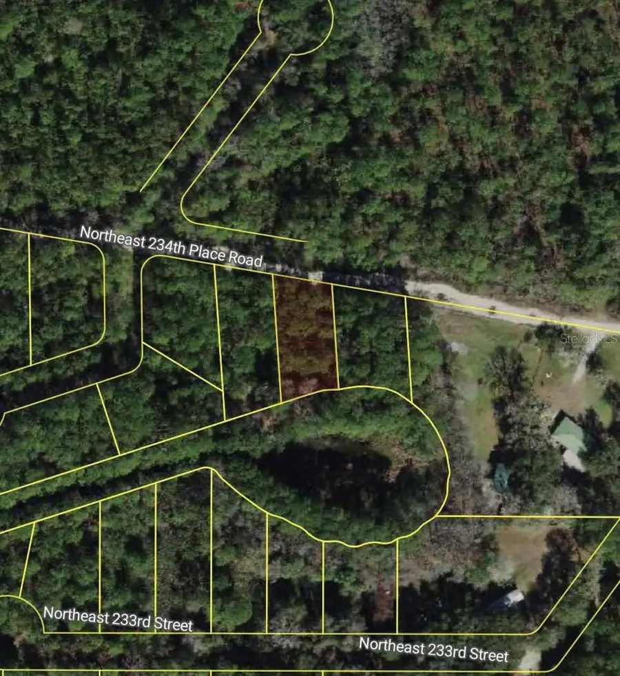 NE 234th Place Road, Fort McCoy Anthony, FL 32134 - #3