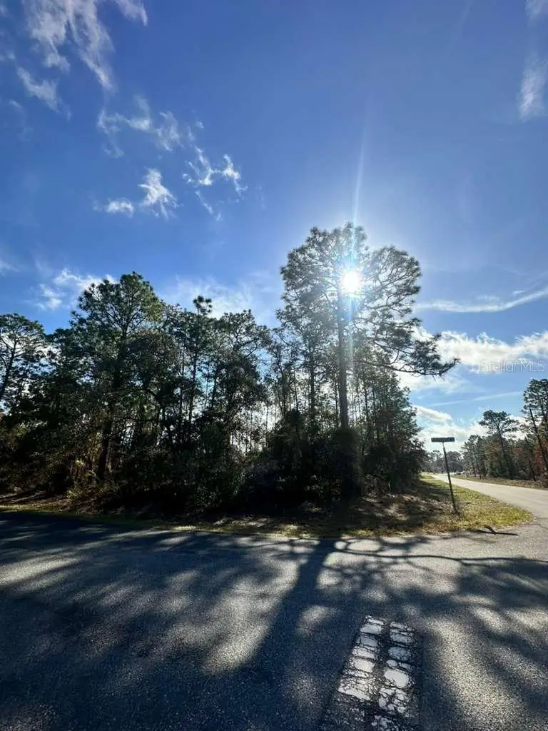 3171 W Randolph Lane, Citrus Springs, FL 34433 - #2