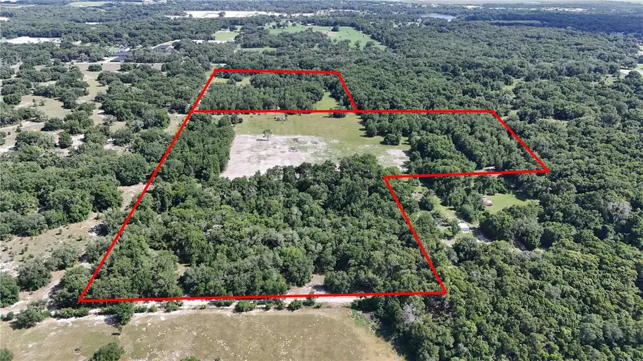 5501 Cemetery Road, Mount Dora, FL 32757 - #2