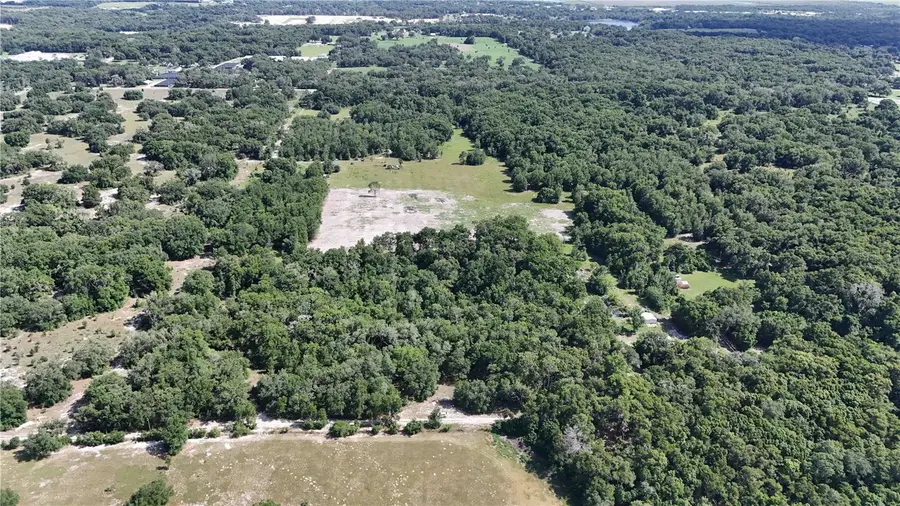 5501 Cemetery Road, Mount Dora, FL 32757 - #3