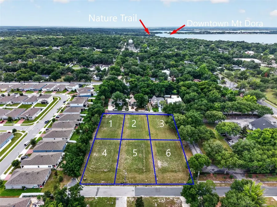 Fearon Ave & E 19th Ave Avenue #1-6, Mount Dora, FL 32757 - #3