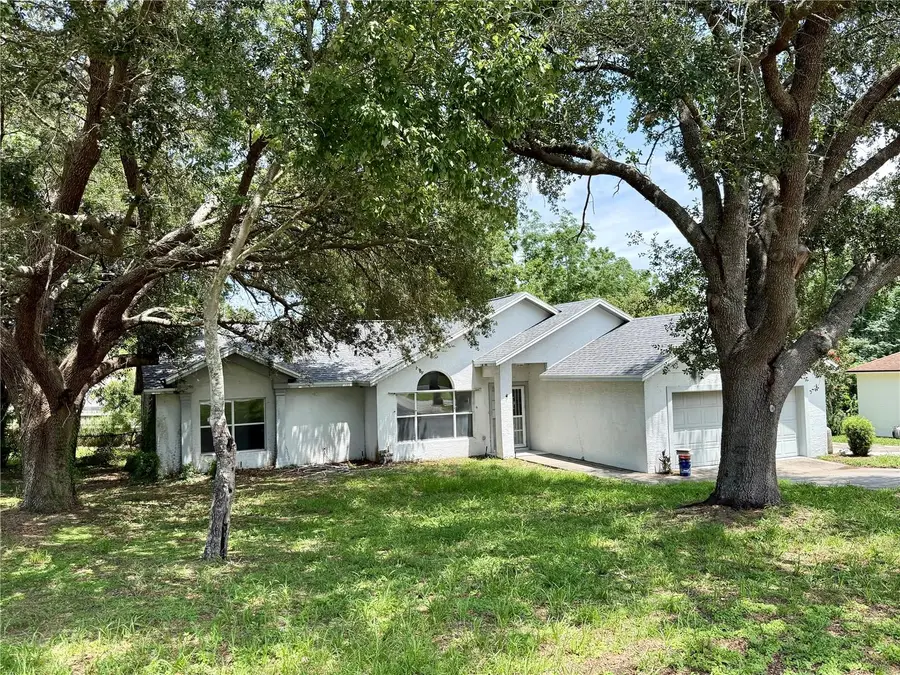 10258 Joanies Run, Leesburg, FL 34788 - #2