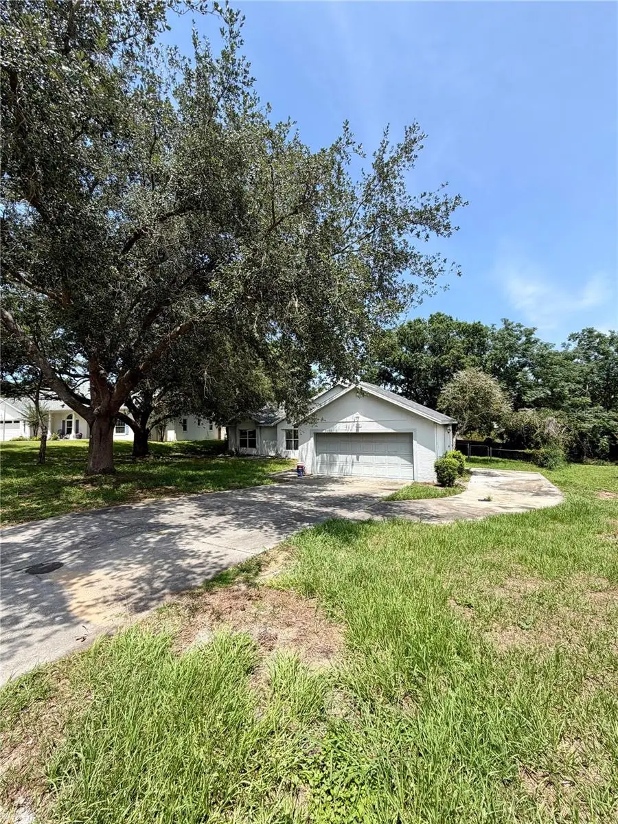 10258 Joanies Run, Leesburg, FL 34788 - #3