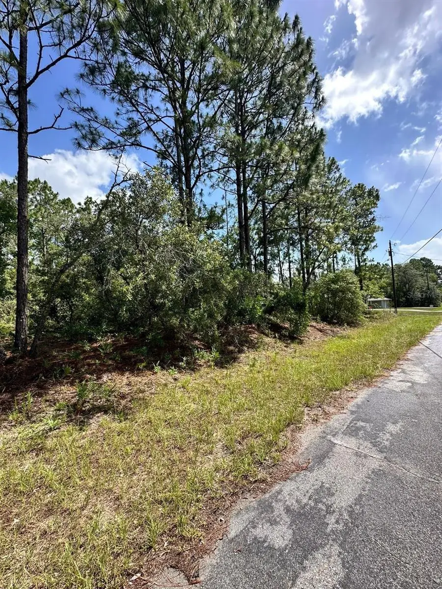 7398 N Veronica Drive, Dunnellon, FL 34433 - #2