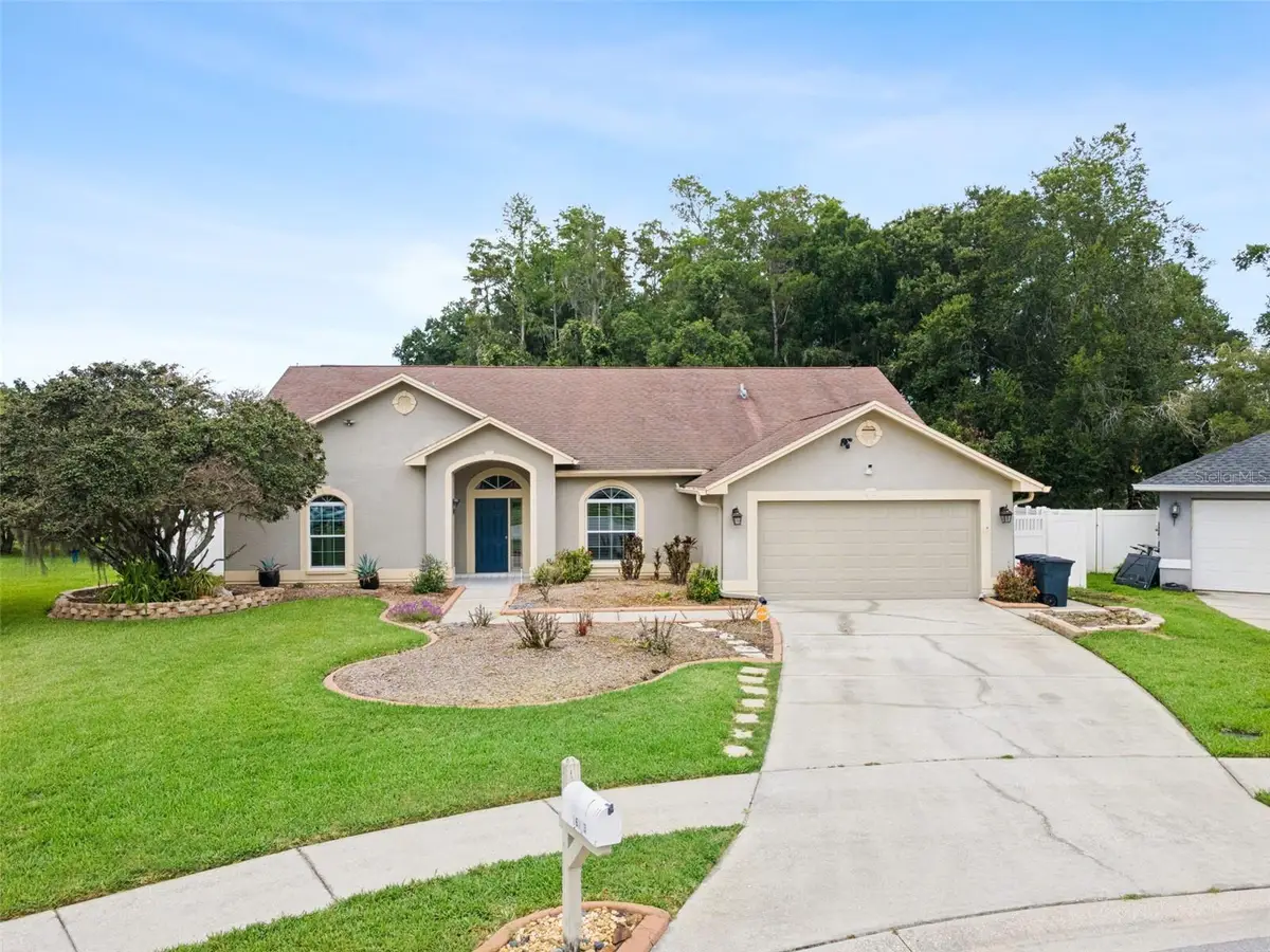 26203 Corkwood Court, Land O Lakes, FL 34639 - #1