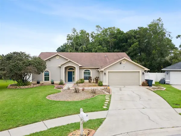26203 Corkwood Court, LAND O LAKES, FL 34639