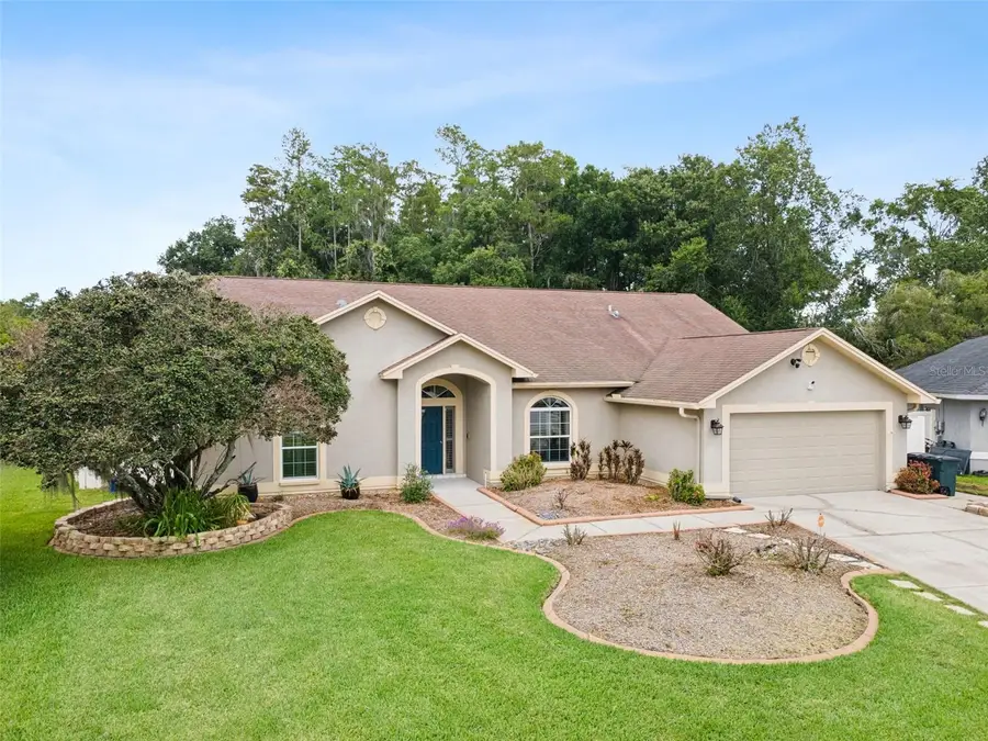 26203 Corkwood Court, Land O Lakes, FL 34639 - #2