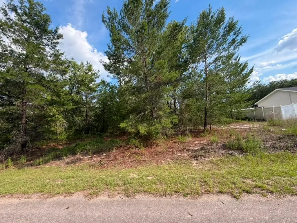 131 Malauka Run, Ocklawaha, FL 32179 - #1