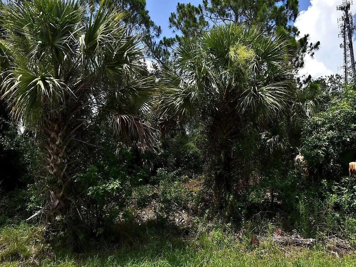 Sago Palm Road, North Port, FL 34291 - #1