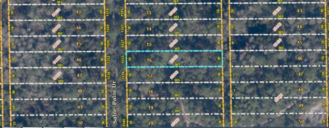 1033 Sable Palm Drive, Christmas, FL 32709 - #1