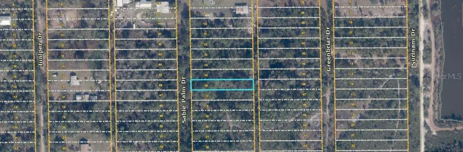 1033 Sable Palm Drive, Christmas, FL 32709 - #3
