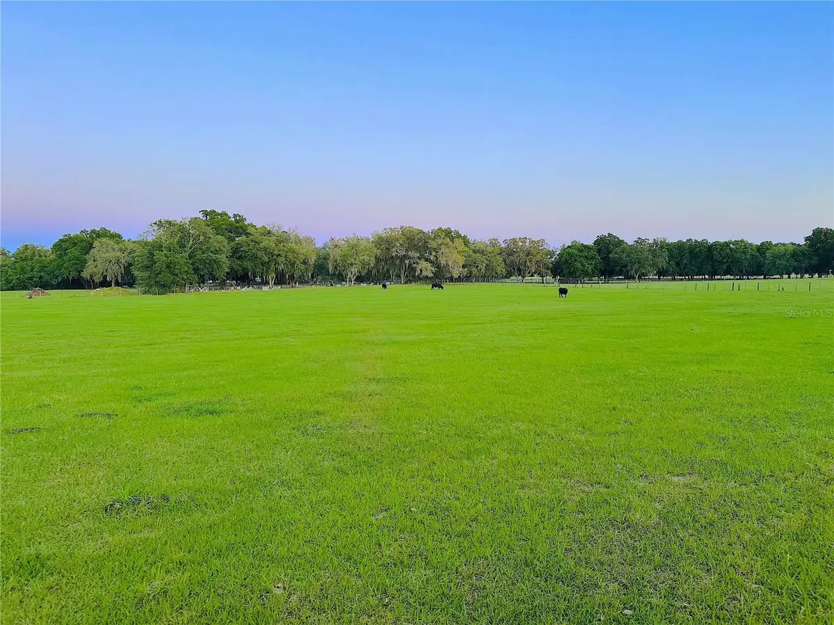 10710 Mcintosh Road, Thonotosassa, FL 33592 - #1