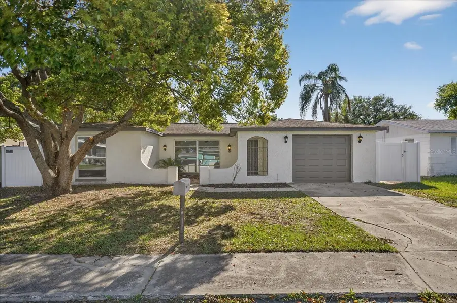 10028 Vineyard Lane, Port Richey, FL 34668 - #2