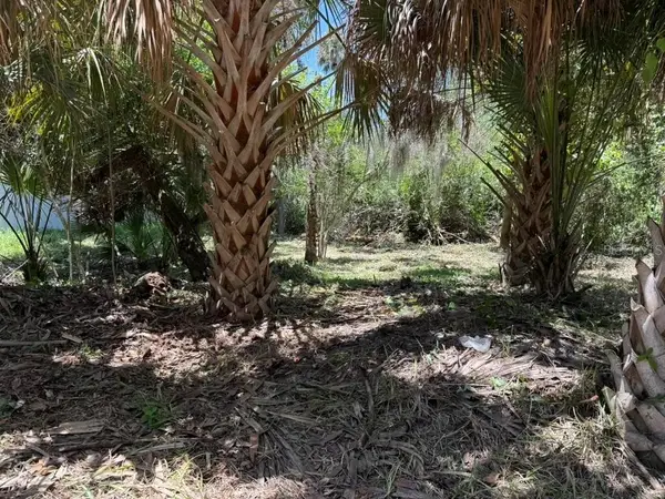 110 Oak Street, FLAGLER BEACH, FL 32136
