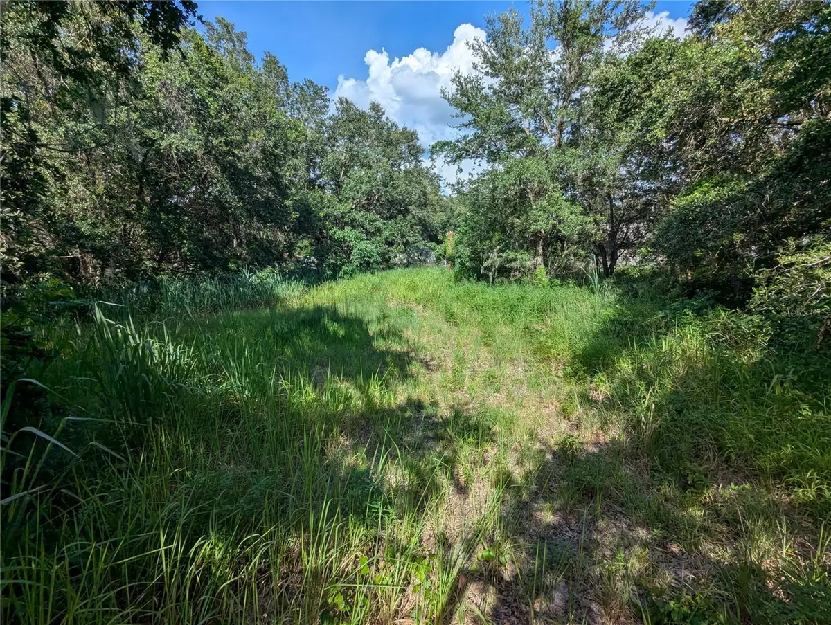 6631 Merle Street, Mulberry, FL 33860 - #1