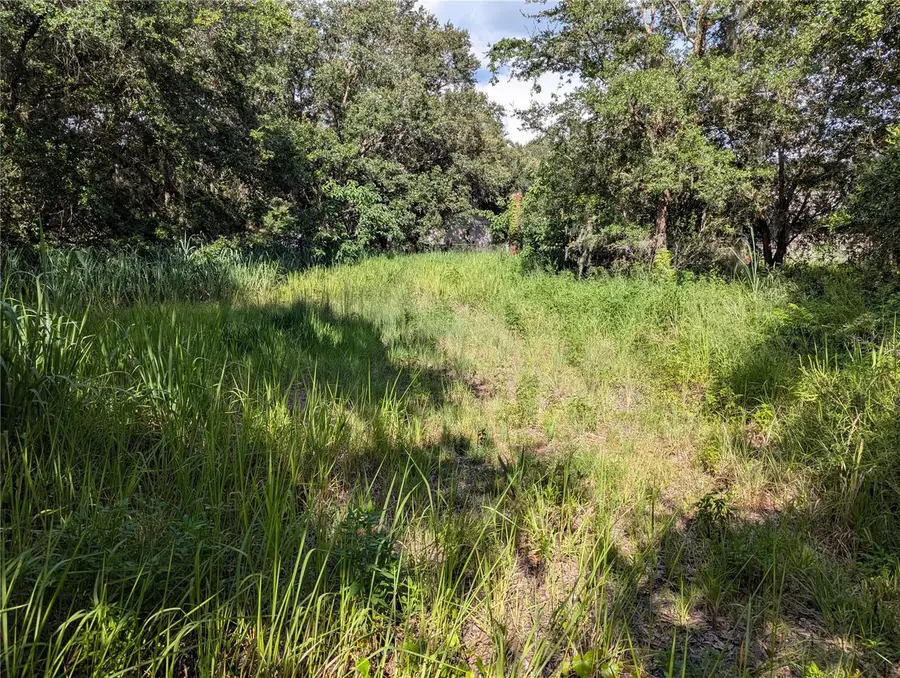 6631 Merle Street, Mulberry, FL 33860 - #2