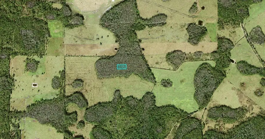 No Street, Polk City, FL 33868 - #2