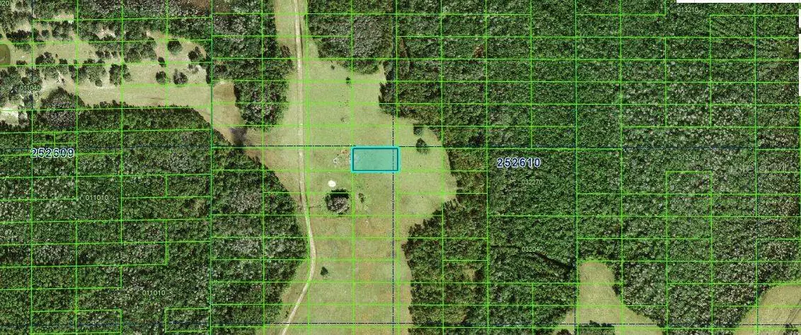 Commonwealth Avenue N, Polk City, FL 33868 - #1