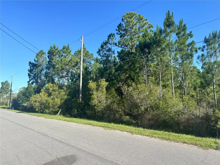 20345 Quinn Street, Orlando, FL 32833 - #3