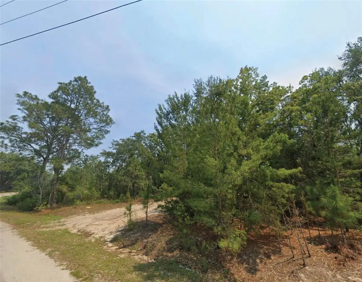 Malauka Place, Ocklawaha, FL 32179 - #1