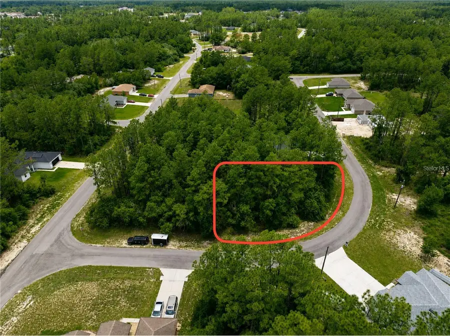 Undetermined, Ocala, FL 34473 - #3