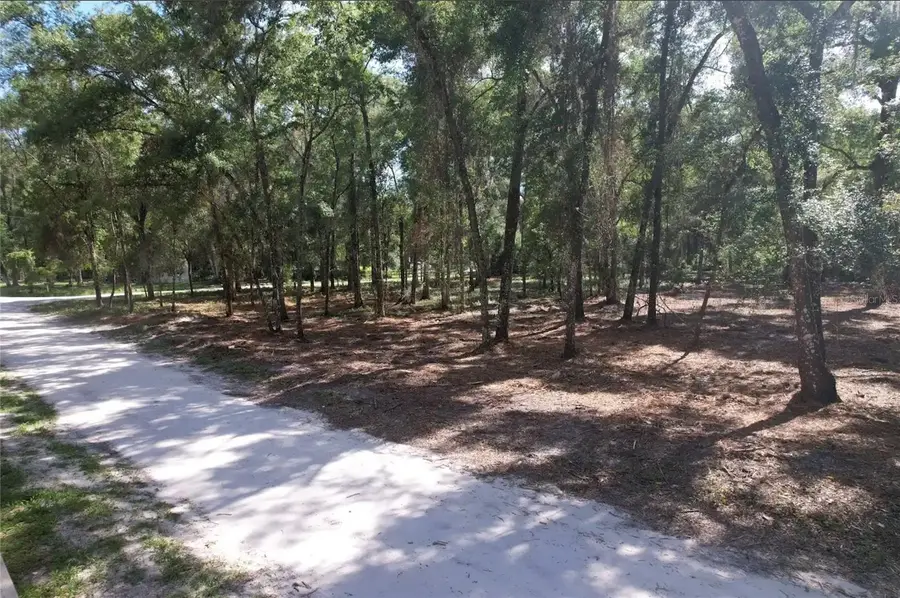 17792 SE 30th Avenue, Summerfield, FL 34491 - #3