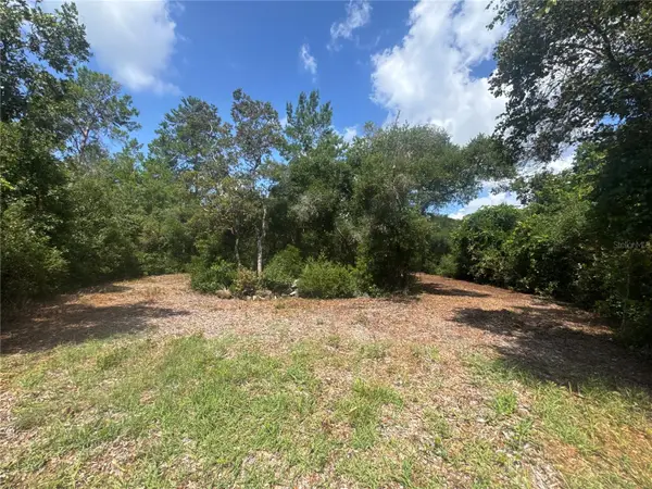 0 North Circle E, PAISLEY, FL 32767