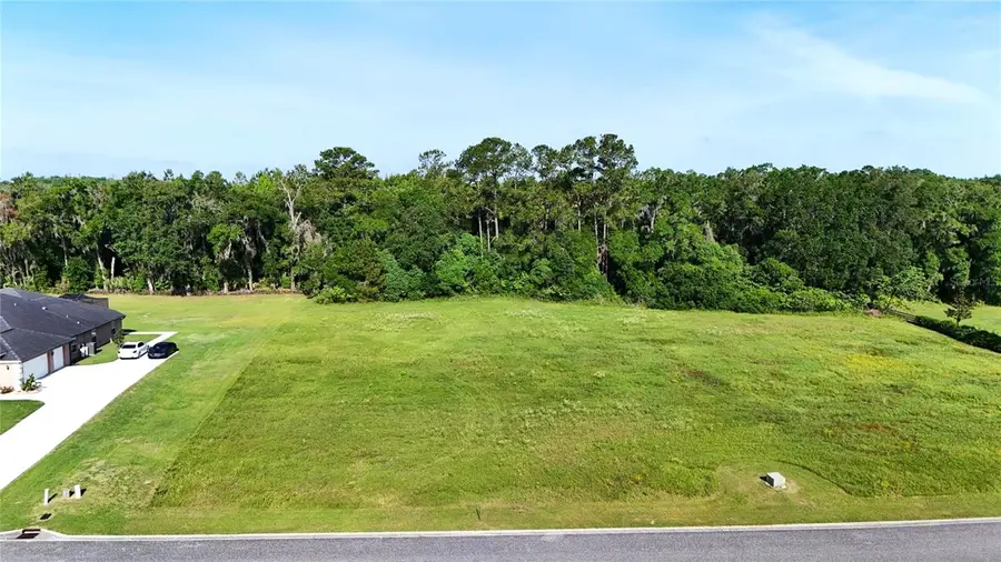XX NW 79th Loop, Ocala, FL 34482 - #3