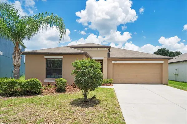 10116 Carloway Hills Drive, WIMAUMA, FL 33598
