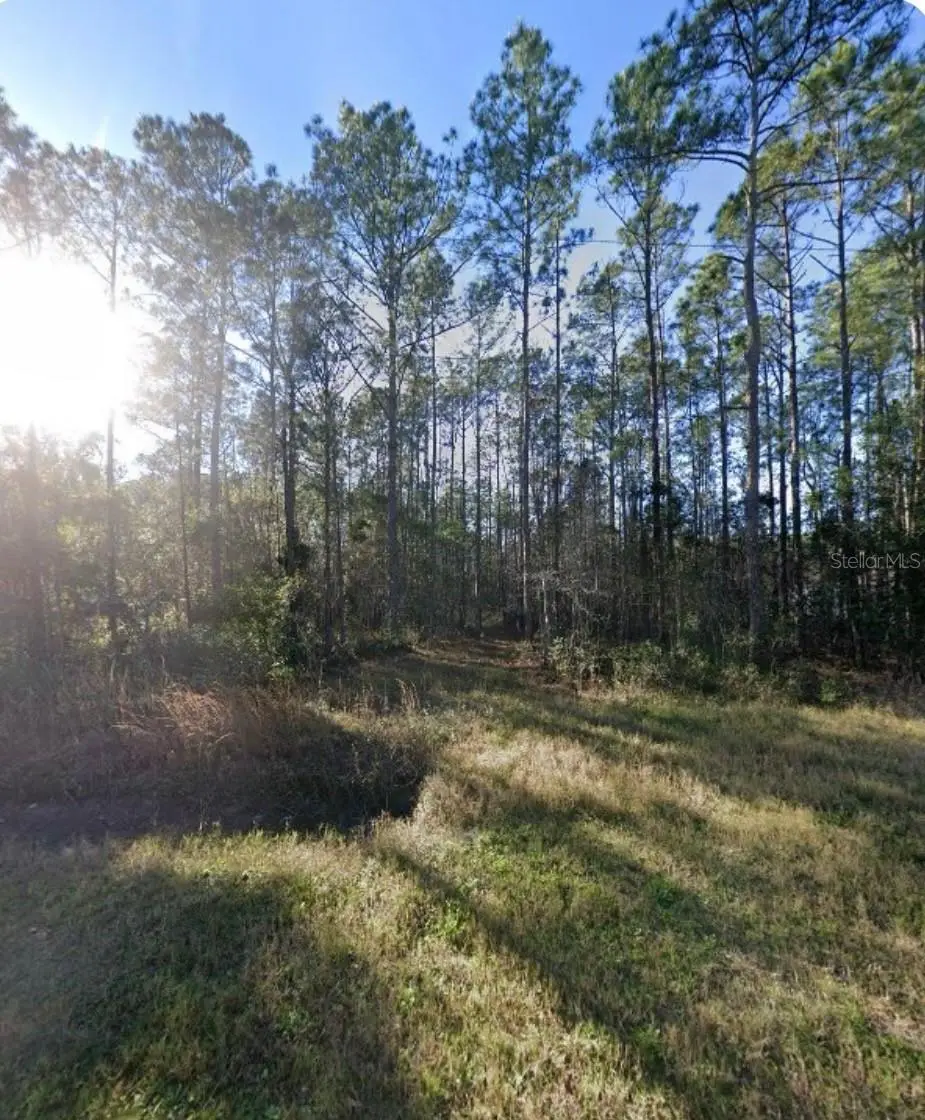 9930 Crotty Avenue, Hastings, FL 32145 - #1