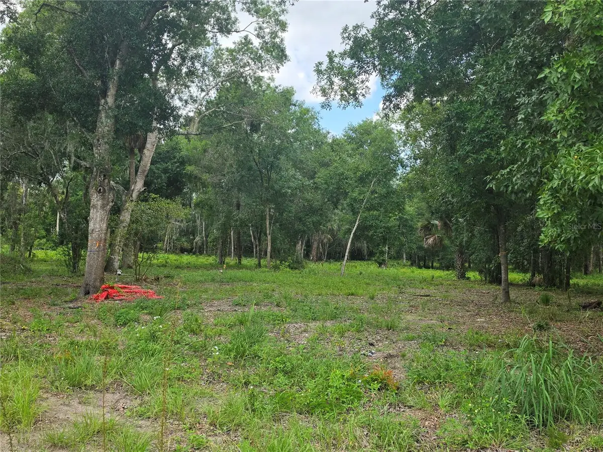 180 Oak Drive, Osteen, FL 32764 - #1